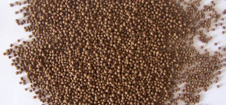 How to Make Floating Fish Feed in Ghana How to Make Floating Fish Feed in Ghana