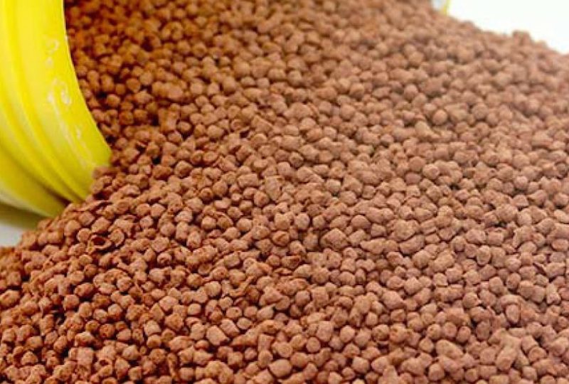 Invest In Fish Feed Production Business In Nigeria